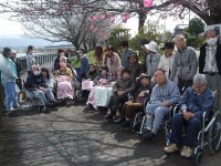 つどい岸和田＆ふれあいセンター下松　「お花見にお出かけ」の画像