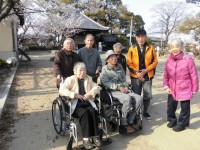 てとてニッケタウン　「お花見してきました。」の画像