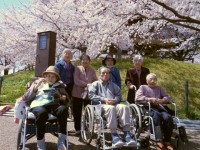 てとてニッケタウン　「お花見 in 佐屋川創郷公園」の画像