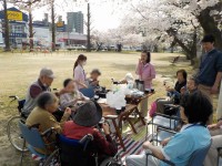 ニッケあすも一宮　「花見でお茶会」の画像