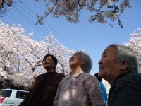 ニッケれんげの家・今伊勢　「お花見」の画像