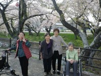 ニッケふれあいセンター犬山　「やっぱり外出最高!!～お花見第2弾～」の画像