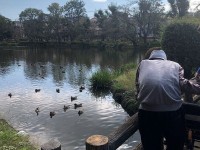 ニッケあすも市川　「じゅん菜池緑地公園～密を避けた秋の息抜き散歩」の画像