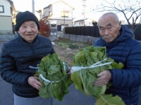 てとてニッケタウン　「てとて農園の四季　～冬～」の画像