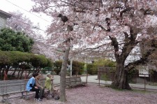 ニッケてとて加古川弐番館　「今日の一枚」の画像