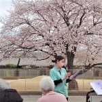 ニッケつどい加古川　「お花見☆」の画像