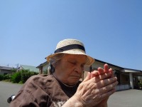 ニッケてとて加古川　「晴れた日☀」の画像