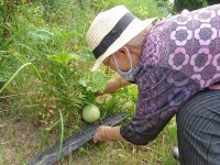 ニッケてとて加古川　 「曇りの日がチャンス」の画像