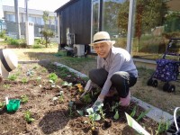 ニッケてとて加古川　「お野菜を植えて」の画像