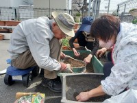 ニッケあすも加古川弐番館　「春の園芸」の画像