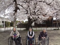 ニッケふれあいセンター加古川　「春の陽気に包まれて」の画像