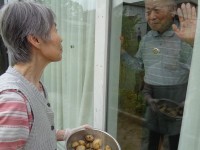 ニッケてとて加古川　「野菜の収穫」の画像