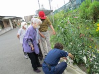 ニッケれんげの家・加古川　「畑の様子」の画像