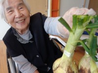 ニッケてとて加古川　「野菜の収穫」の画像