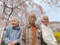 ニッケれんげの家・加古川　「お花見散歩」の画像