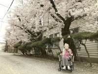 ニッケあすも加古川　「【桜の花見散歩】と【桜風呂】桜づくしで春を満喫！」の画像