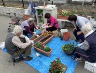 ニッケあすも加古川弐番館　「初夏の園芸」の画像