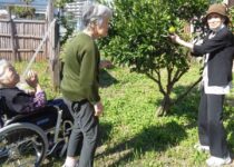 ニッケてとて加古川　「ある日の散歩👣」の画像